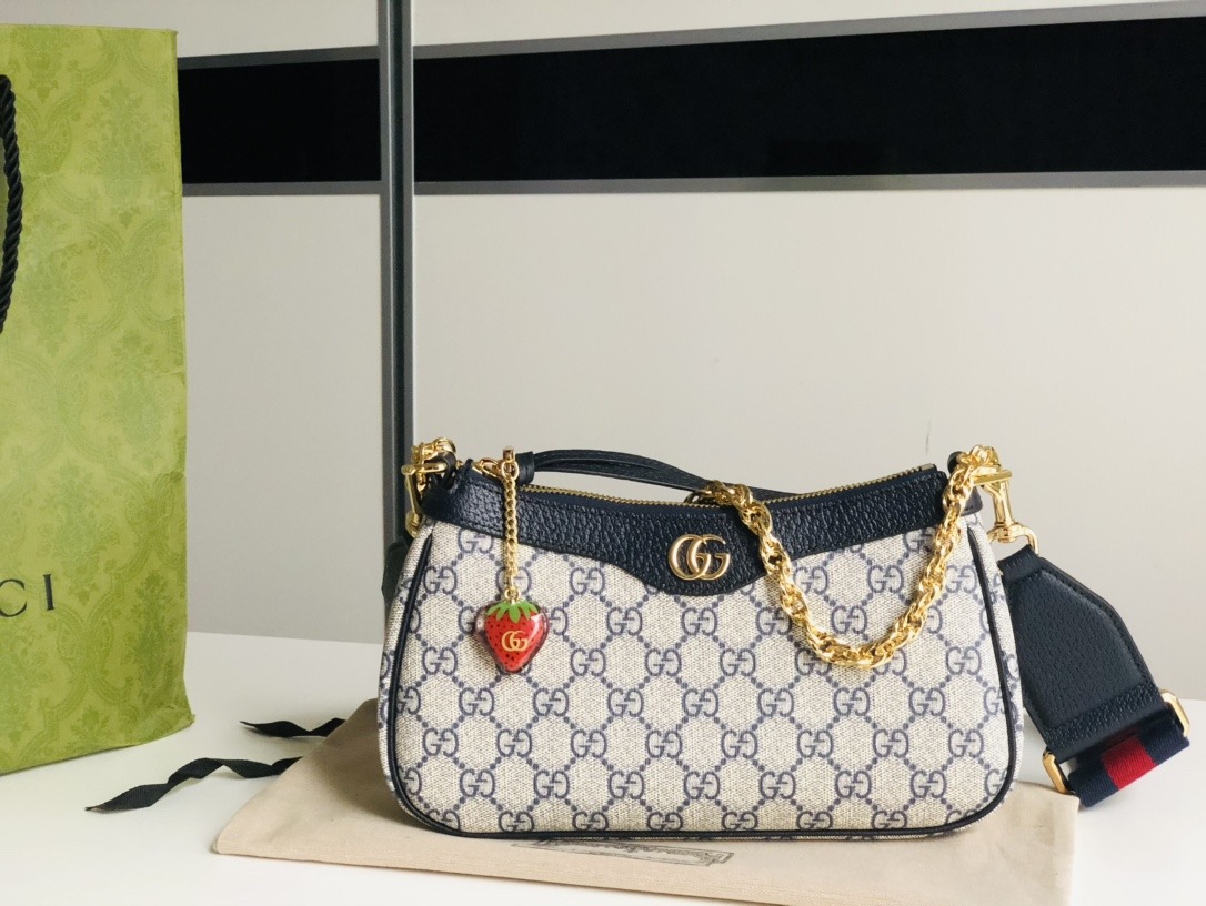 Gucci Chain Bag-25*15*6C